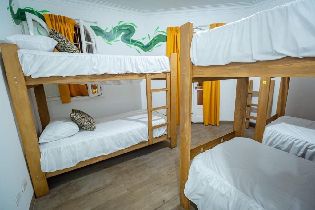 Dormitorio compartido de seis camas con literas de madera y mural de enredaderas verdes